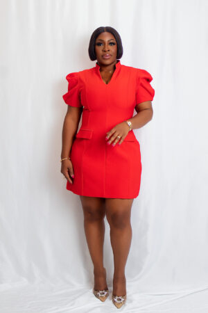 High - Neck short sleeve Mini Dress