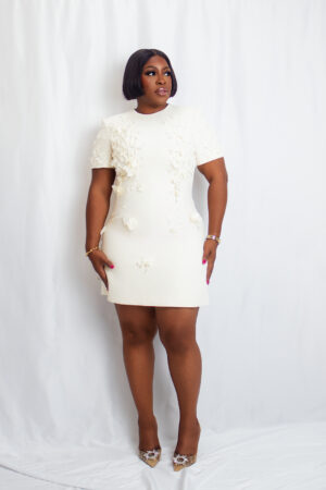 3D floral Applique Mini Dress